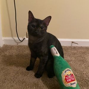 Meet your Posher, Kristen